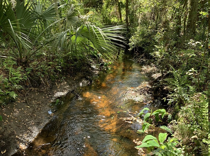 Arboretum & Gardens Jacksonville, Florida