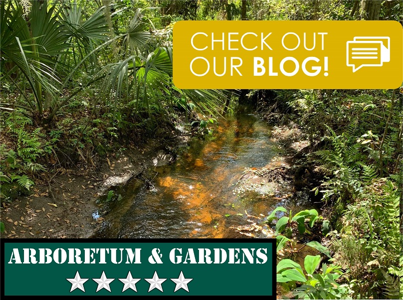 Arboretum & Gardens Jacksonville, FL
