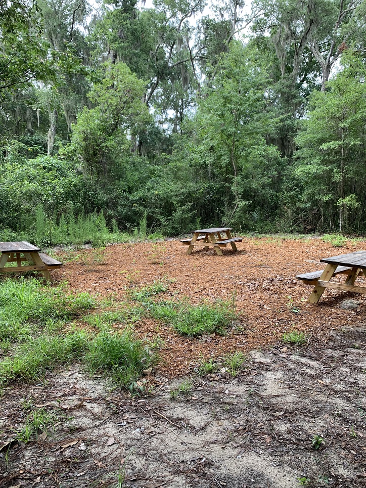 Bogey Creek Preserve Hiking Trail