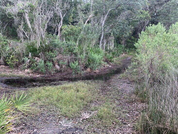 Dutton Island Preserve II Jacksonville Florida