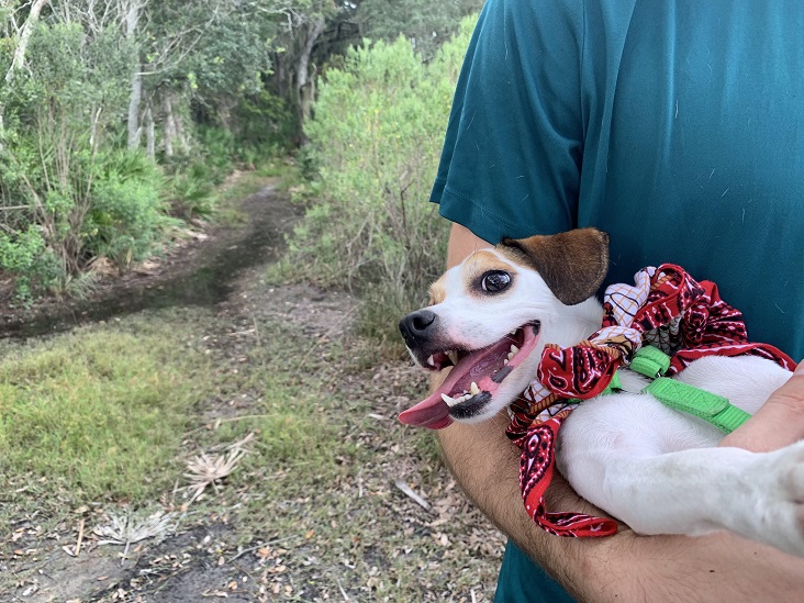 Dutton Island Preserve Jacksonville Florida Dog Friendly