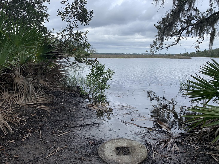 Dutton Island Preserve II Jacksonville Florida