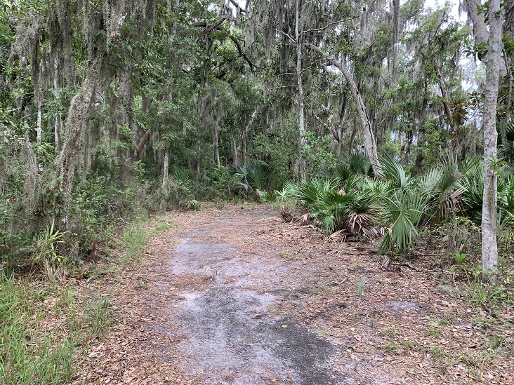 Dutton Island Preserve II Jacksonville Florida