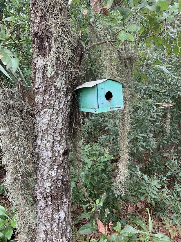 Dutton Island Preserve II Jacksonville Florida