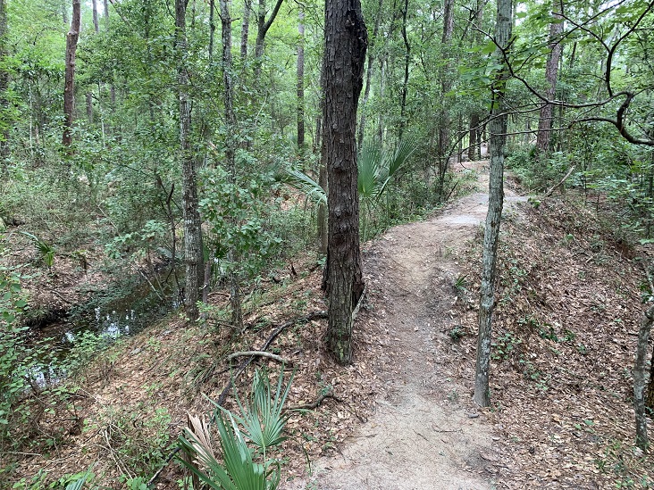 Dutton Island Preserve II Jacksonville Florida