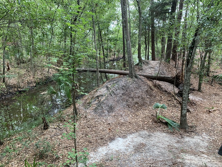 Dutton Island Preserve II Jacksonville Florida