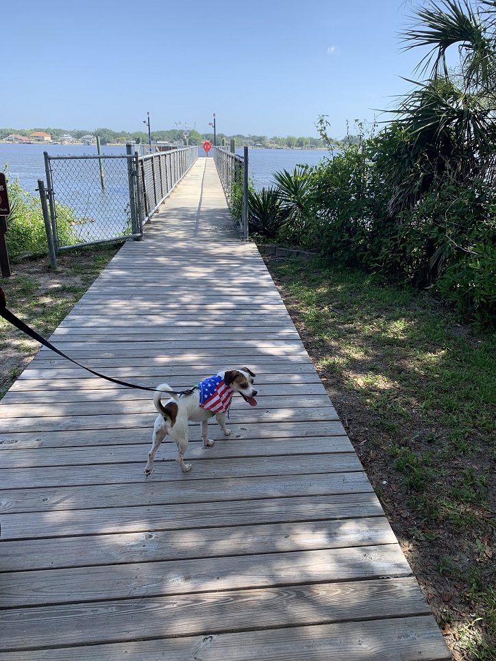 Fort Caroline Dock overlooking the St. Johns River
