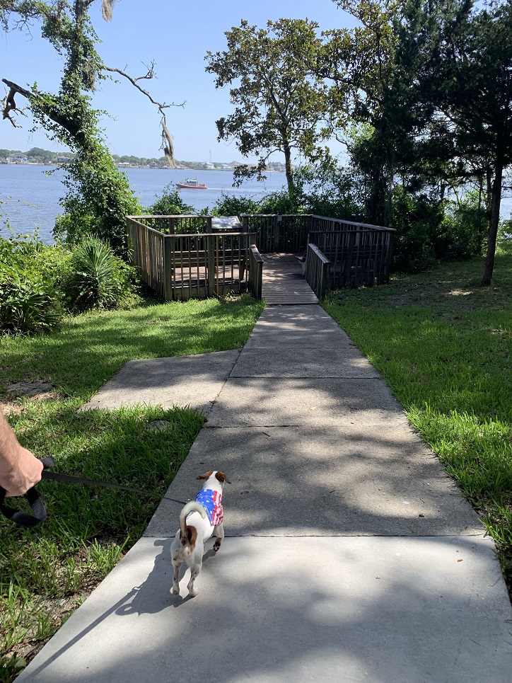 Fort Caroline St. Johns lookout point