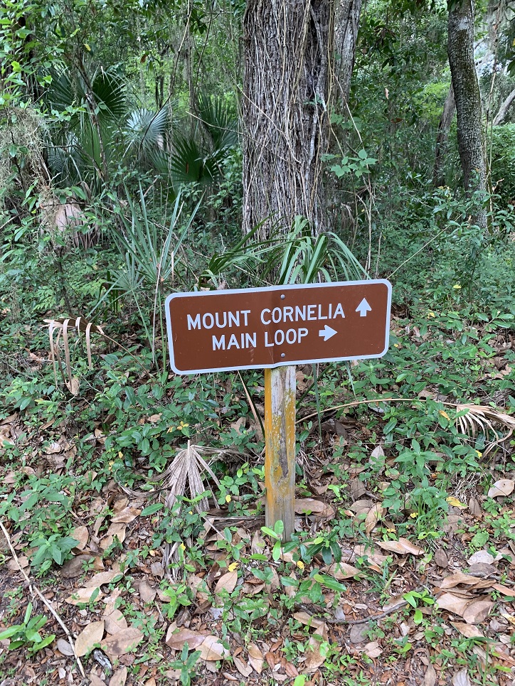 Fort George Island Jacksonville Florida