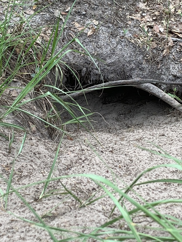 Fort George Island Jacksonville Florida