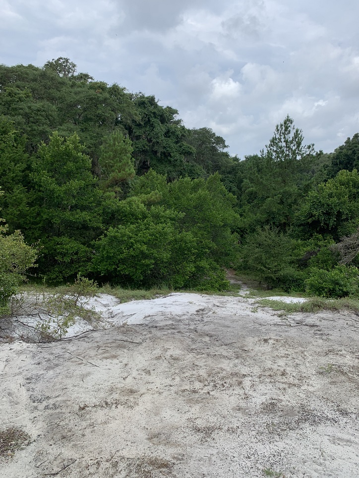 Fort George Island Jacksonville Florida