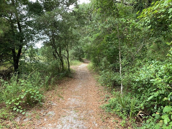 Fort George Island Jacksonville Florida