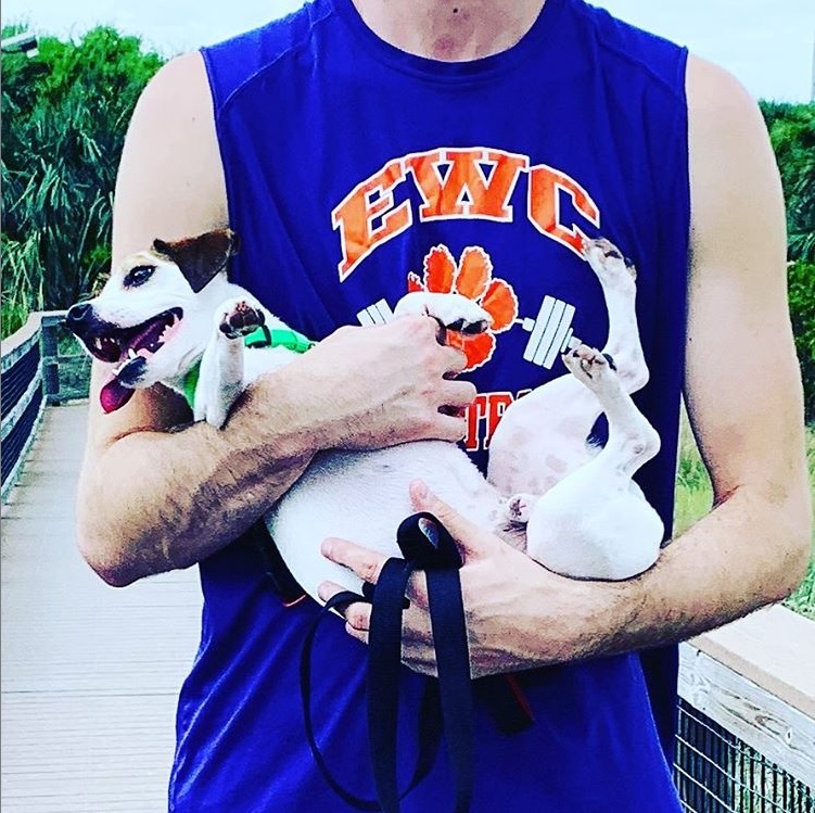 Fort Clinch State Park is Not Dog Friendly