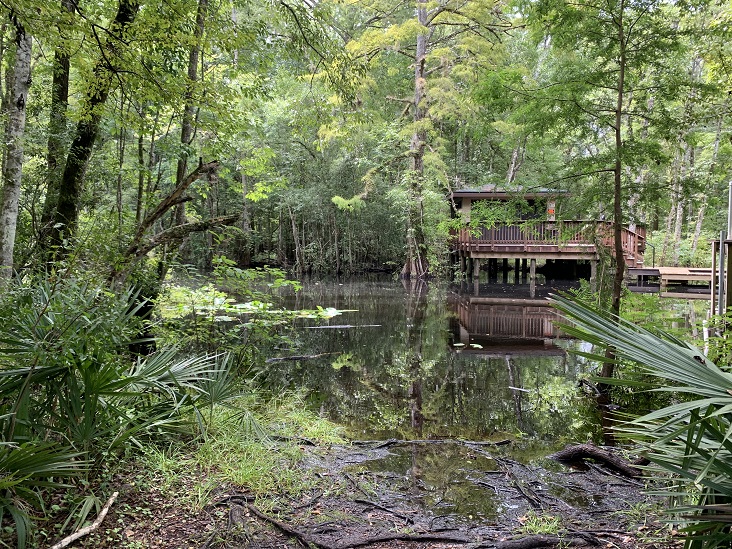 Julington Durbin Creek Preserve Hiking Trail