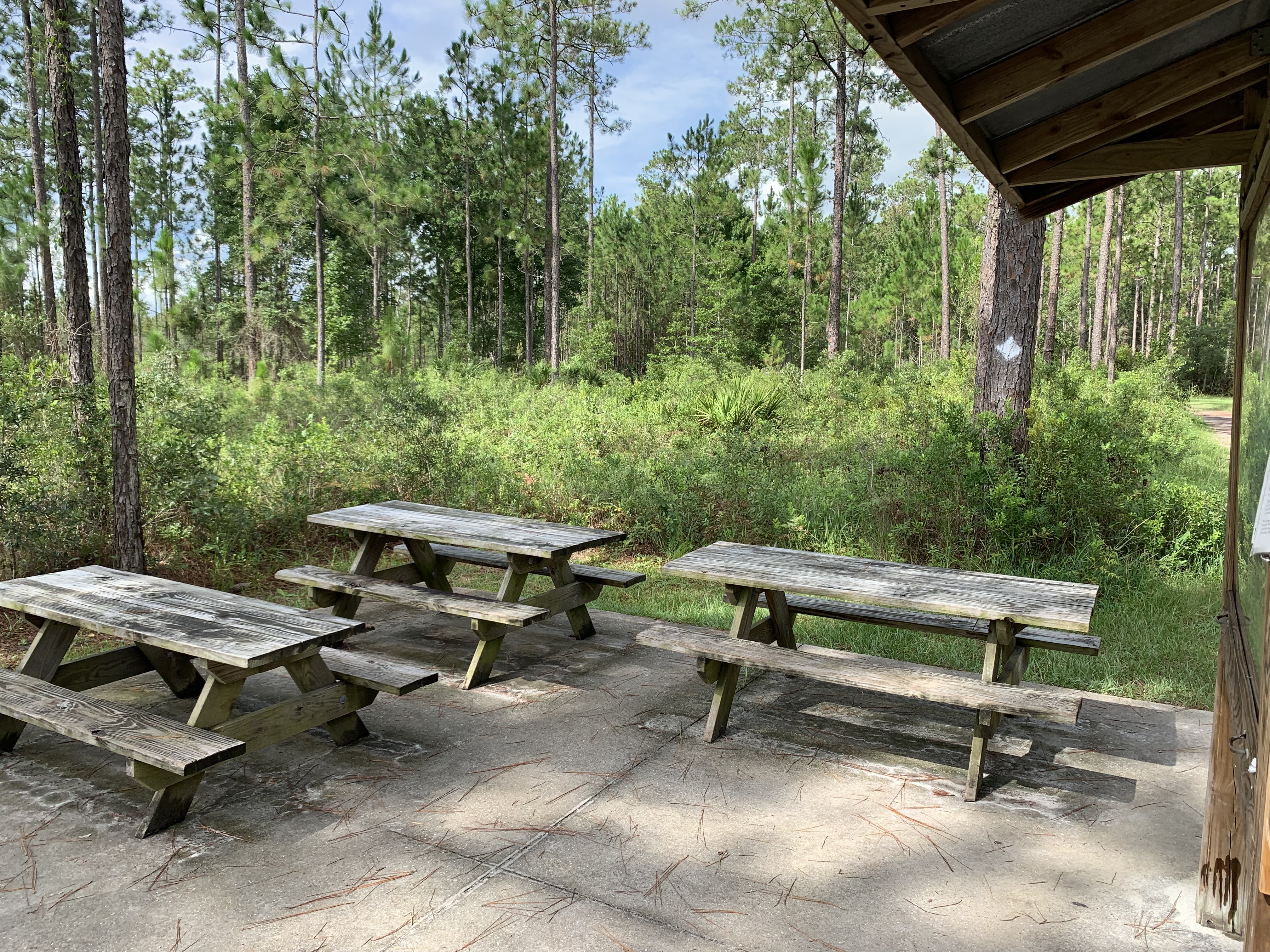 Julington Durbin Creek Preserve Hiking Trail