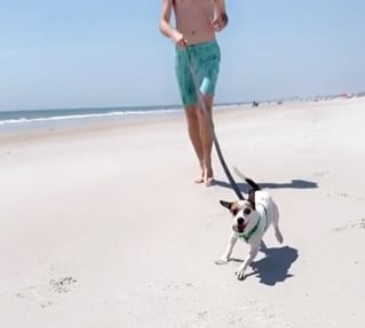 Kathryn Abbey Hanna Park Dog Friendly