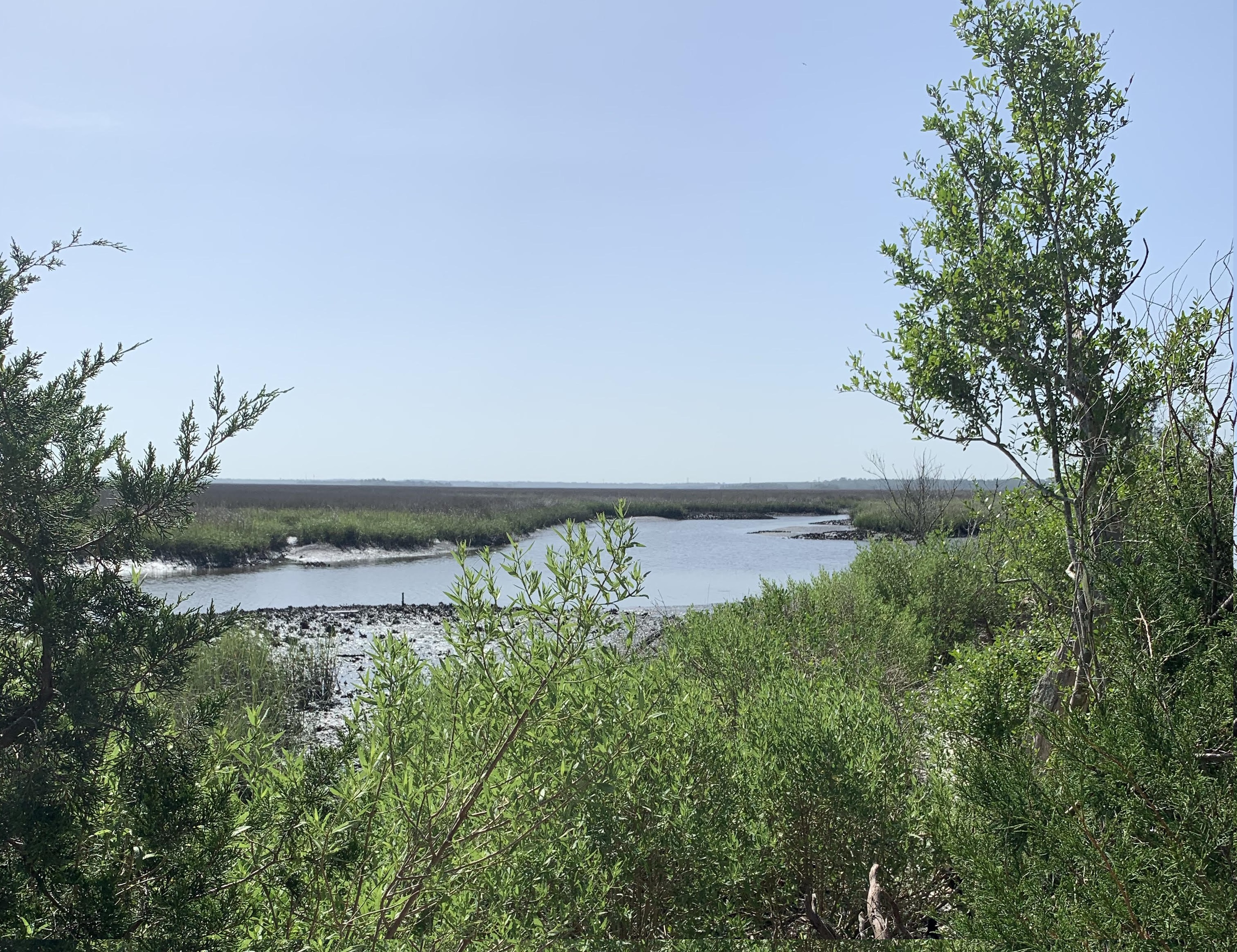 Spanish Pond Jacksonville, Florida