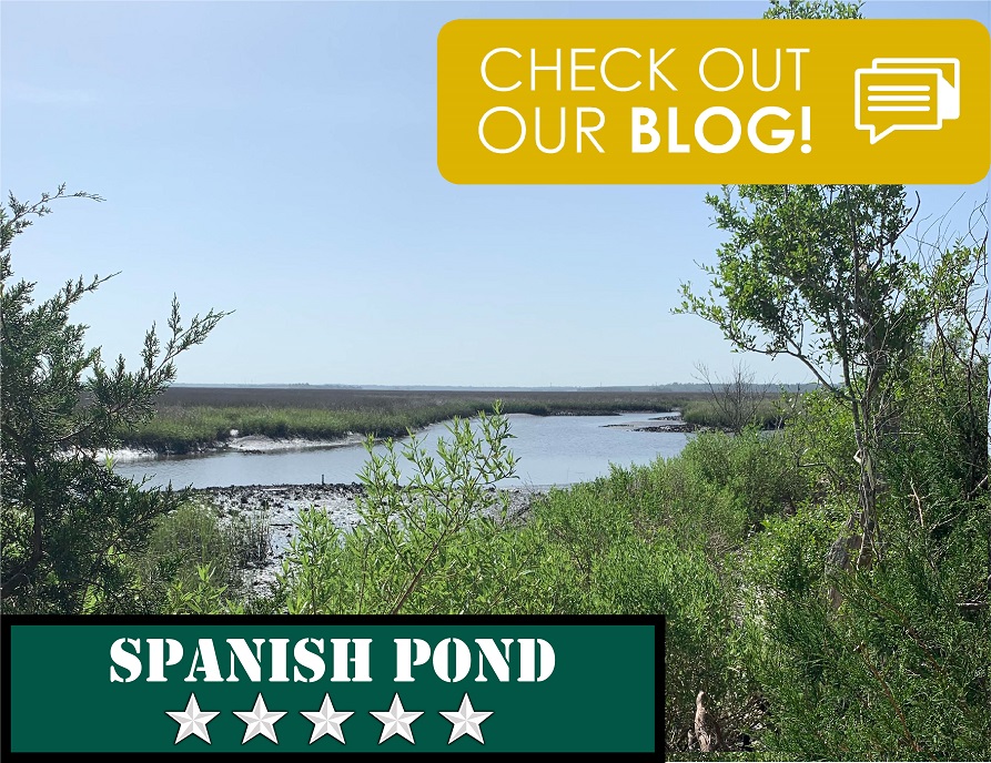 Spanish Pond Jacksonville, FL