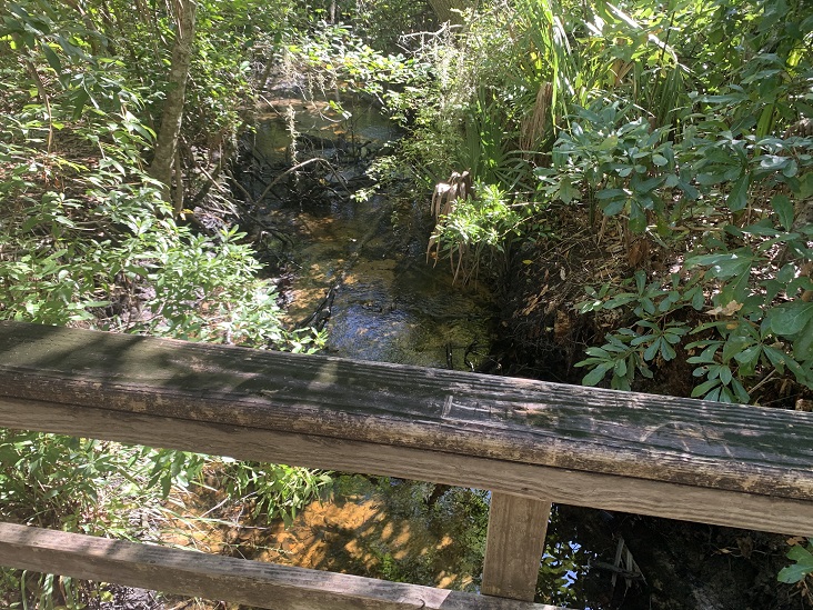 Willie Browne Trail Jacksonville Florida 