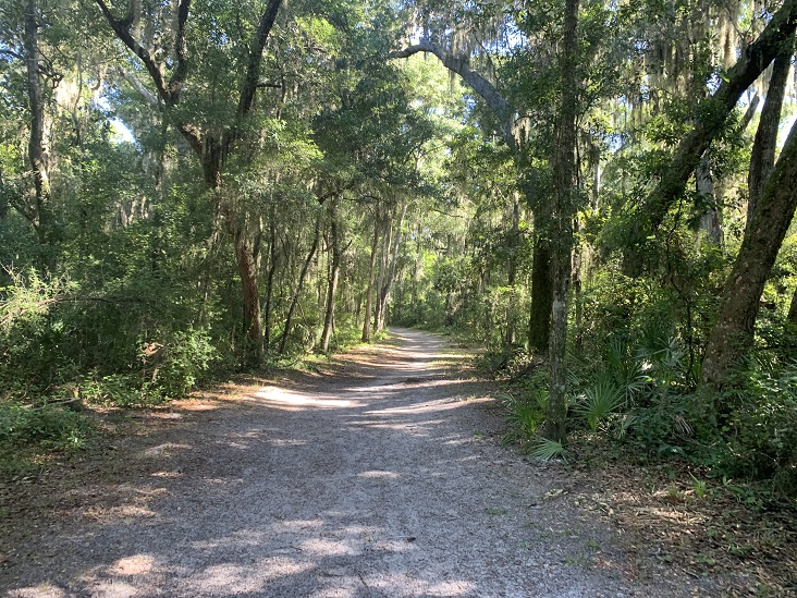 Willie Browne Trail Jacksonville Florida