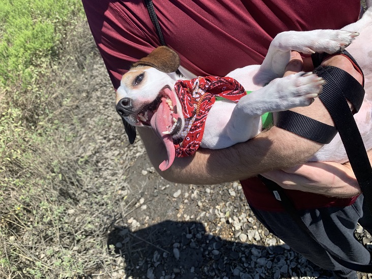 Willie Browne Trail Jacksonville Florida Dog Friendly