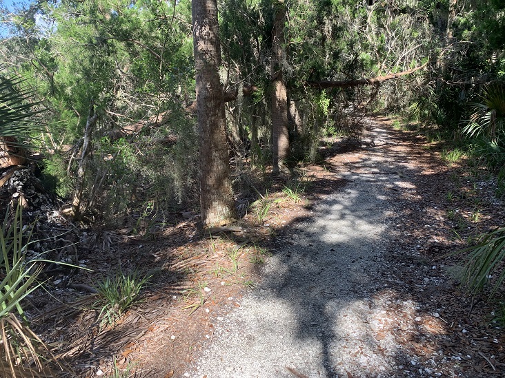 Willie Browne Trail Jacksonville Florida